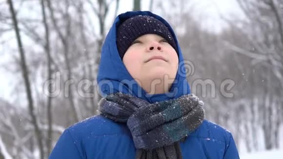 在冬天的森林里白雪皑皑的小男孩在欣赏画像视频的预览图