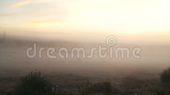 美丽的雾蒙蒙的草地全景干草草地上浓雾弥漫初秋的树木轮廓视频的预览图