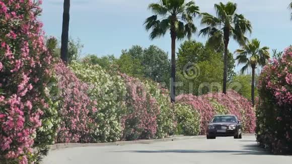 豪华轿车开着鲜花盛开的灌木驶近私人大厦视频的预览图