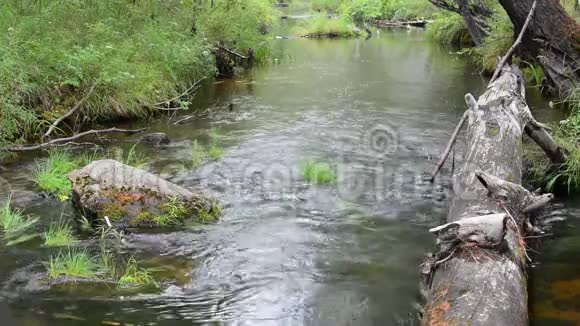 溪淡水自然场景山地淡水溪自然景观视频的预览图