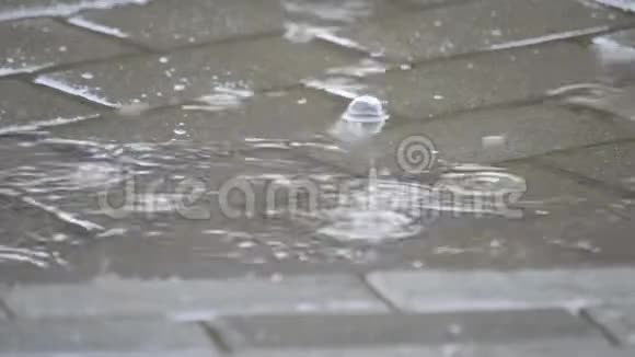 下雨了水坑里吹着泡泡视频的预览图