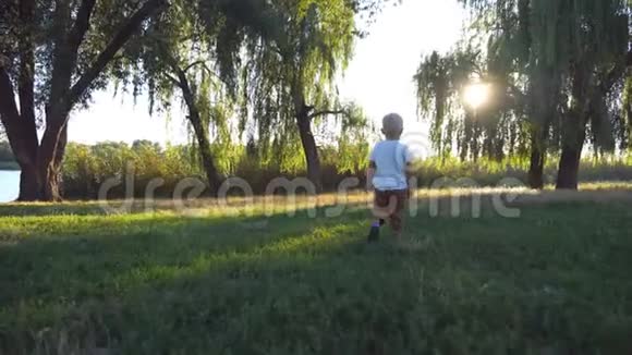 阳光明媚的一天金发的小孩子在公园里散步夏天的时候小孩子要去吃青草快乐宝贝视频的预览图