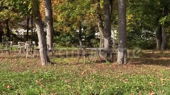 秋天在树叶中废弃的公园视频的预览图