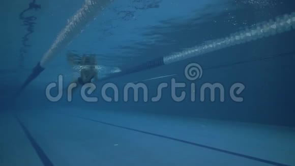 女子游泳运动员身穿黑色泳衣在游泳池下自由泳视频的预览图