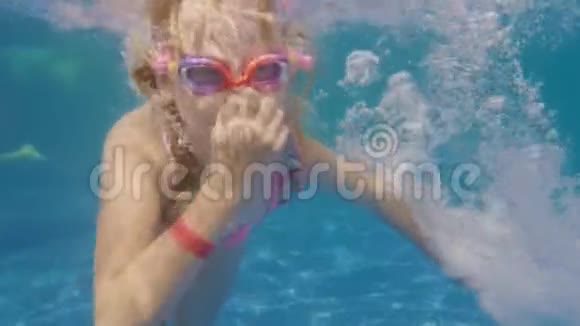 六岁的白人女孩在游泳池里潜水水下视频视频的预览图