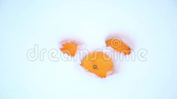 一个人正在从雪地上擦橘子视频的预览图