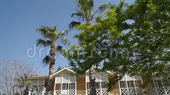 高大的棕榈树生长在黄色建筑的背景上全景从下到上视频的预览图