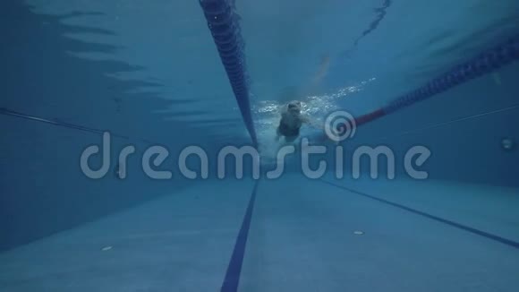 健身女子游泳爬泳蓝水游泳池前景视频的预览图