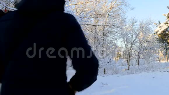 一对夫妇沿着积雪覆盖的公园散步从树枝上倾泻出雪来视频的预览图