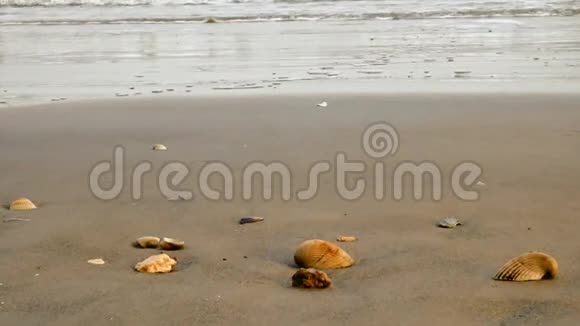 沙滩上的沙滩海浪轻轻地滚向海岸的贝壳视频的预览图