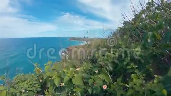 伦诺克斯点头地悬崖景观澳大利亚的风景海滨度假目的地视频的预览图