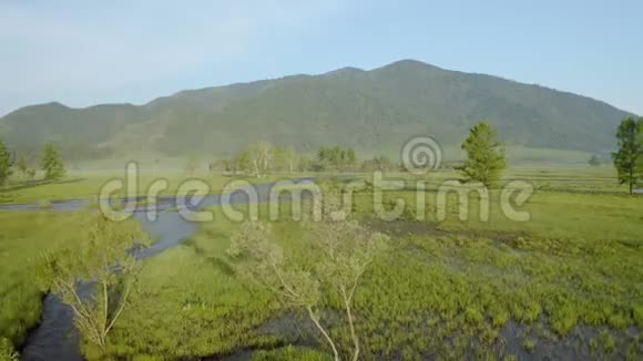 从瀑布传来的河流的空中镜头在背景中展示森林和强大的水视频的预览图