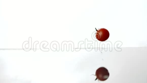 蕃茄独舞在湿滑的慢动作上视频的预览图