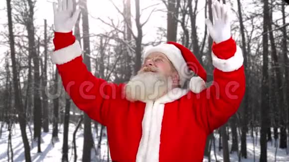 户外圣诞老人的肖像视频的预览图