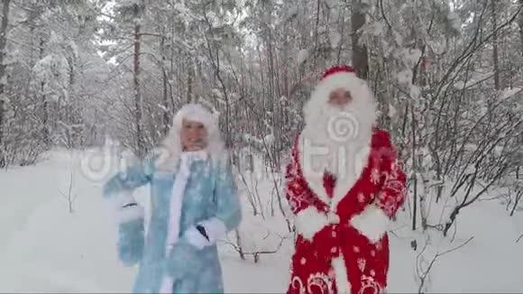 圣诞老人和孙女在白雪覆盖的森林里加速视频视频的预览图