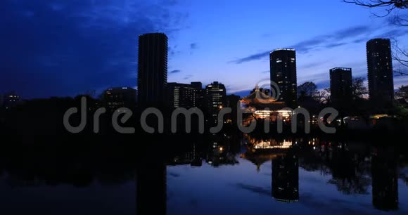 东京上野传统公园附近的日落视频的预览图