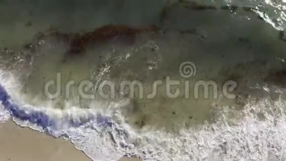 美国迈阿密阳光明媚的沙滩海浪翻滚视频的预览图