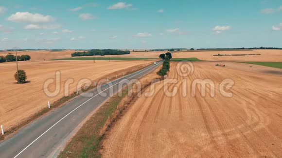 麦地和玉米地之间有汽车的沥青道路的鸟瞰图视频的预览图