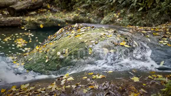 河流围绕着一块大岩石流动视频的预览图