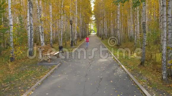 年轻的白种人女孩在公园的秋巷跳跃金黄的树叶闪闪发光视频的预览图
