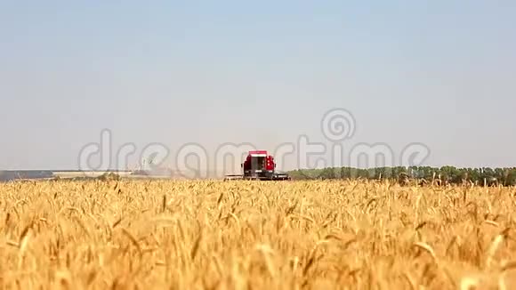 联合收割机收割小麦收割机在地里干活蓝天视频的预览图