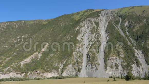 高山天山覆盖吉尔吉斯斯坦绿色森林山岳景观视频的预览图