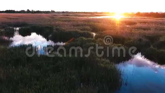 飞过一个美丽的湖湖面上的日落芦苇丛鸟儿在日落时飞向太阳东正教教堂视频的预览图