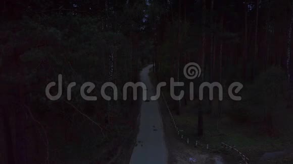 夜间在夏林间黑暗的乡间小路上开着白色的车视频的预览图
