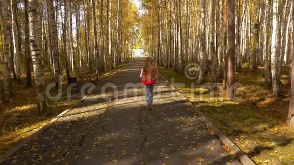 镜头跟随女孩走在公园里的秋巷黄色的叶子视频的预览图