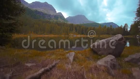 美丽的圣佩莱格里诺湖反映了水中的森林和山脉视频的预览图