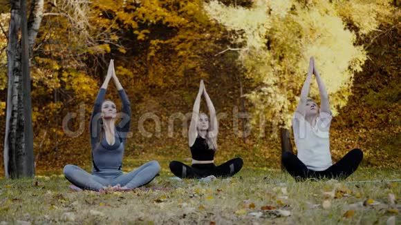 一群年轻的瑜伽练习者在公园里做瑜伽练习女人在美丽的秋天的户外冥想视频的预览图