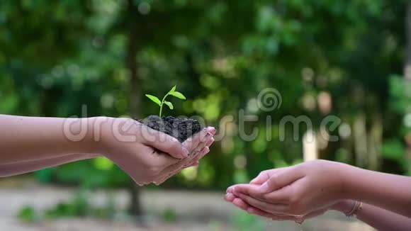 人们正在手中种植和浇水植物有树木有保护自然和环境的想法视频的预览图