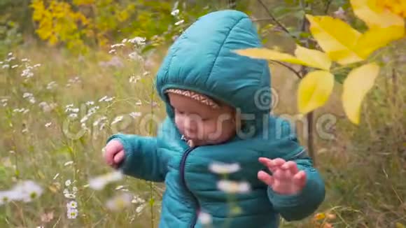 一只耳朵的老男孩在秋天公园玩花万向节视频的预览图