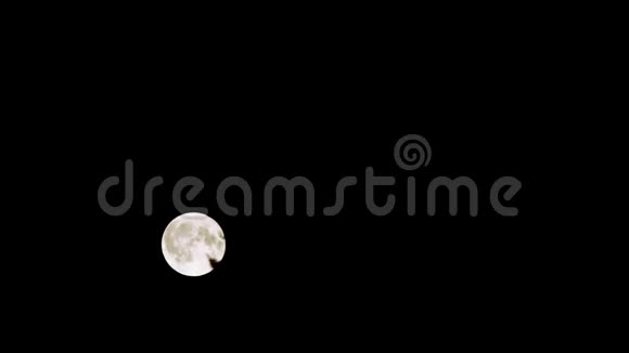 满月的时间流逝月亮经过树4k长焦镜头视频的预览图