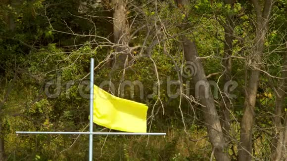 特写镜头4K树木背景上的黄色破旗在海岸线上慢动作视频的预览图