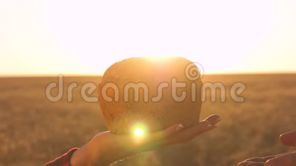 手掌上有一块面包在阳光下雌性手中的面包在麦田上新鲜黑麦面包视频的预览图
