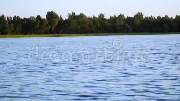 芦苇在美丽的湖面上视频的预览图