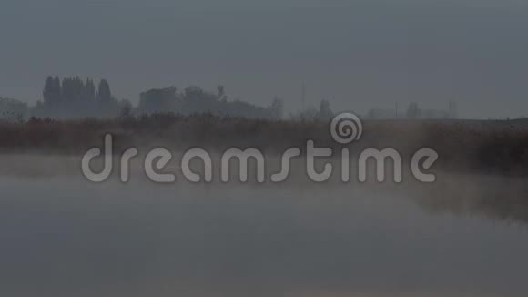 早晨湖面上的雾视频的预览图