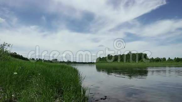 夏天在平静的河面上阳光明媚岸边青草云彩视频的预览图