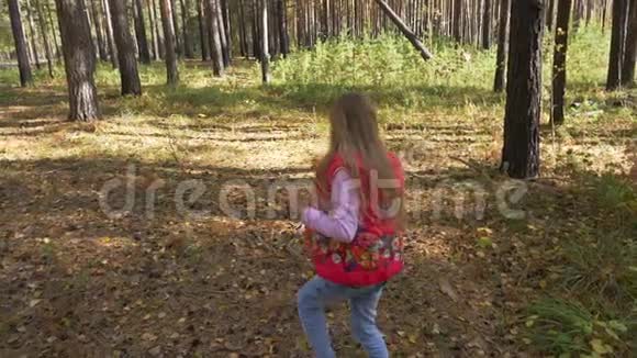 一个孤独的小女孩在秋天的森林里迷路了一个女孩拿着木棍四处游荡视频的预览图