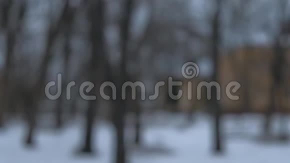 近景雪花飞入镜头背景模糊的树木视频的预览图