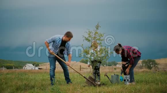四口之家在他的花园里种了一棵新树概念是种树友好的家庭视频的预览图