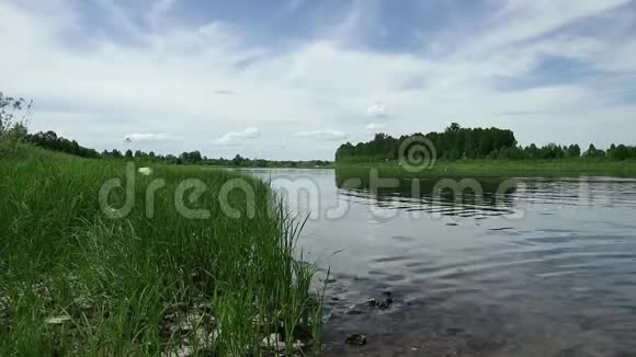 夏天在平静的河流上阳光明媚的一天岸上绿草如茵视频的预览图