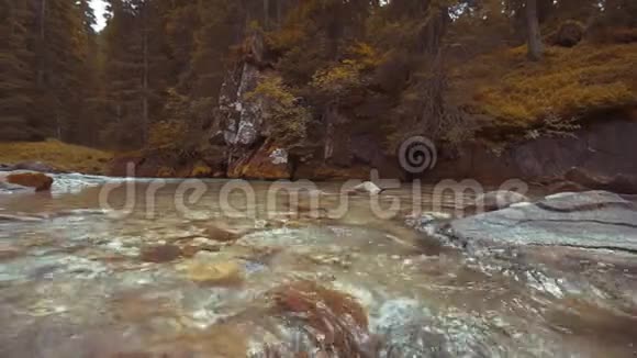 一条有石头的小溪流淌在大自然的绿树中间视频的预览图