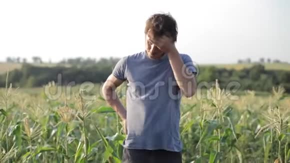 年轻的农民在有机农场的玉米地里站立和休息视频的预览图