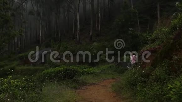 那个带背包的女孩正在树林里散步视频的预览图