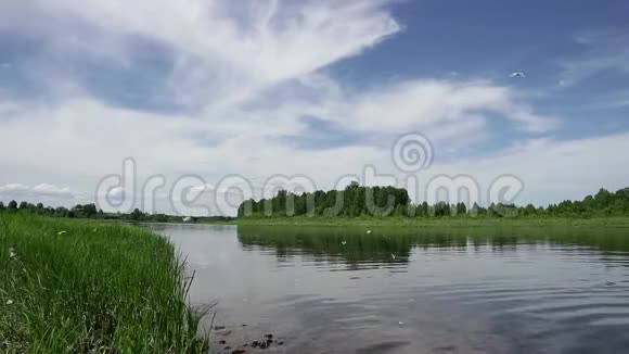 夏天在平静的河面上阳光明媚岸边青草云彩视频的预览图