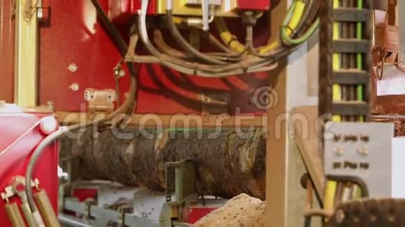 锯木厂上的锯条带锯子有激光水平的电锯工作台在木束上锯树干的过程视频的预览图