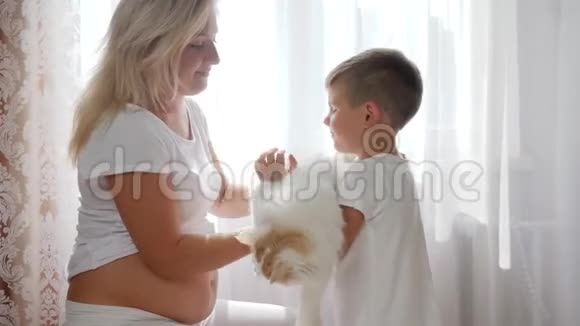 幸福的孕妇小儿子抱着猫在房间里自然光视频的预览图
