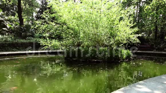 公园里的小池塘视频的预览图